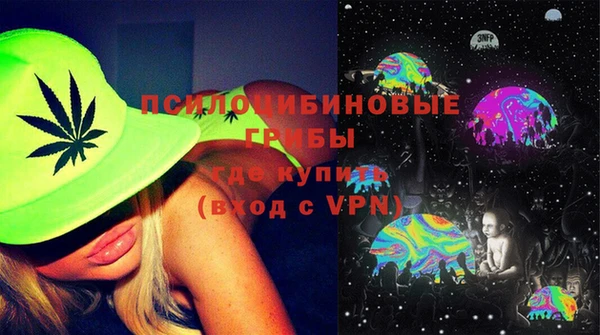 ГАЛЛЮЦИНОГЕННЫЕ ГРИБЫ Навашино