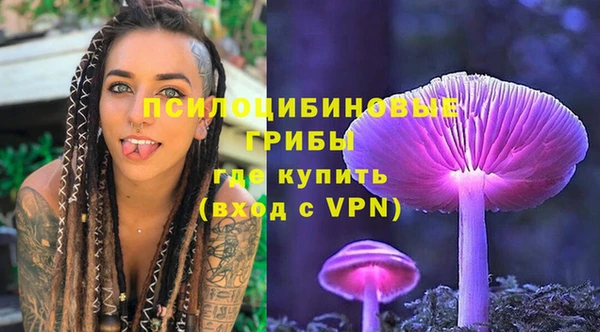 ГАЛЛЮЦИНОГЕННЫЕ ГРИБЫ Навашино