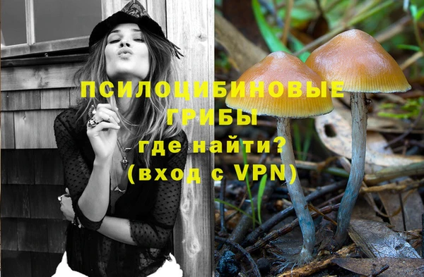 прущая мука Надым