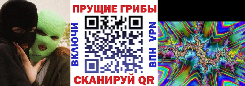 как найти   Чишмы  Псилоцибиновые грибы мицелий 